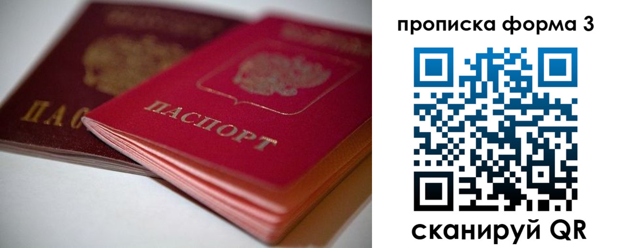 временная регистрация надежно в Курчатове